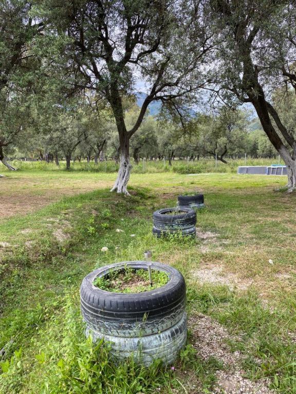 Luxuszelt Cika's Camping Borsh