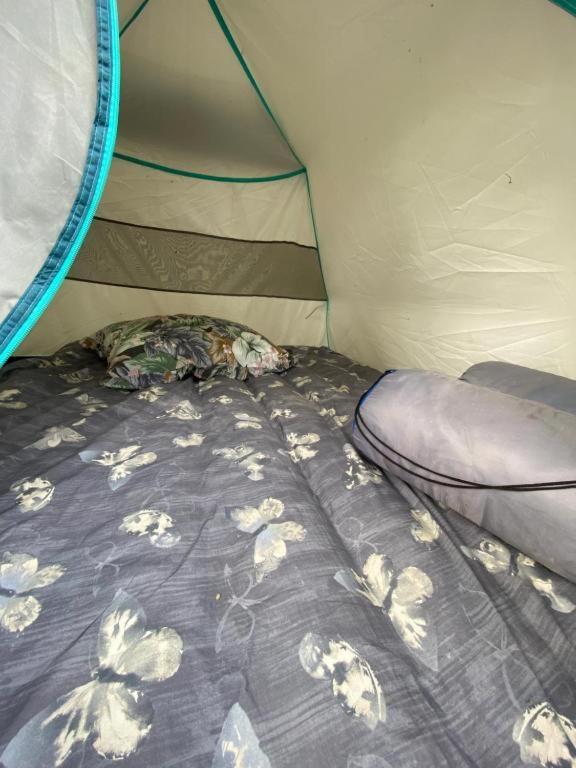 Cika's Camping * Borsh