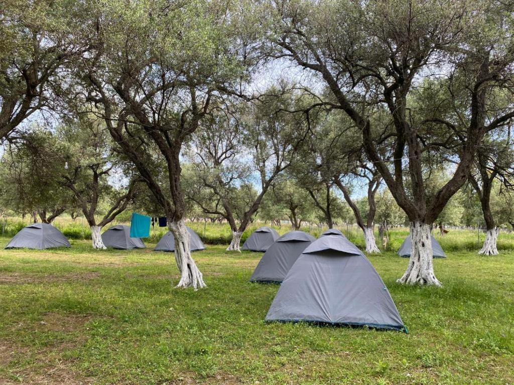 Cika's Camping *